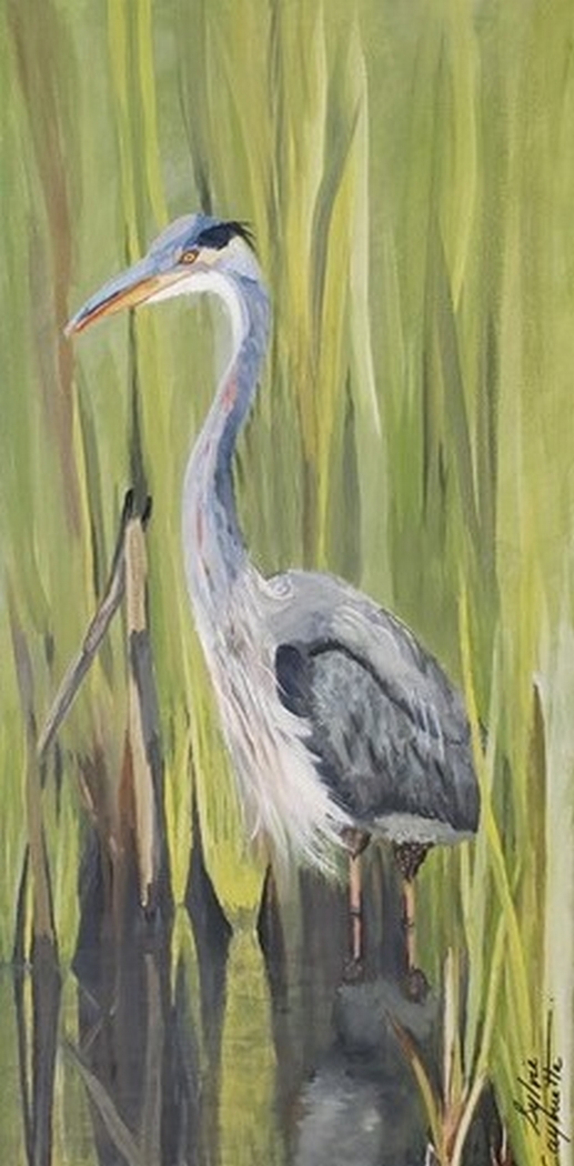 Sylvie Cayouette, Héron bleu caché - Hidden Blue Heron, Acrylique sur toile, 2023, La présence du vivant