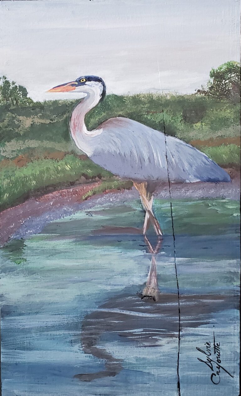 Sylvie Cayouette, Héron bleu à IPE - Blue Heron at IPE, Acrylique sur bois, 2024, La présence du vivant