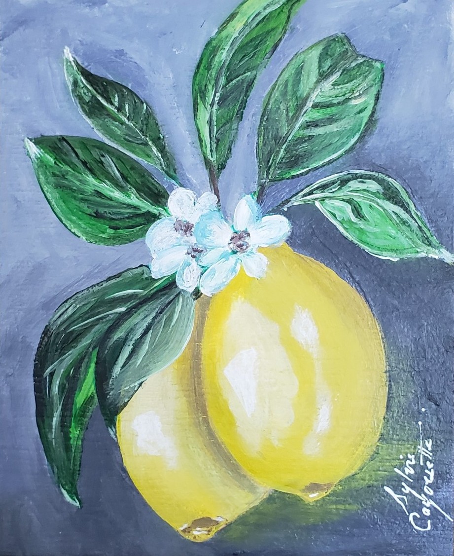 Sylvie Cayouette, 2 citrons, Acrylique sur bois, 2024, nature morte fruit