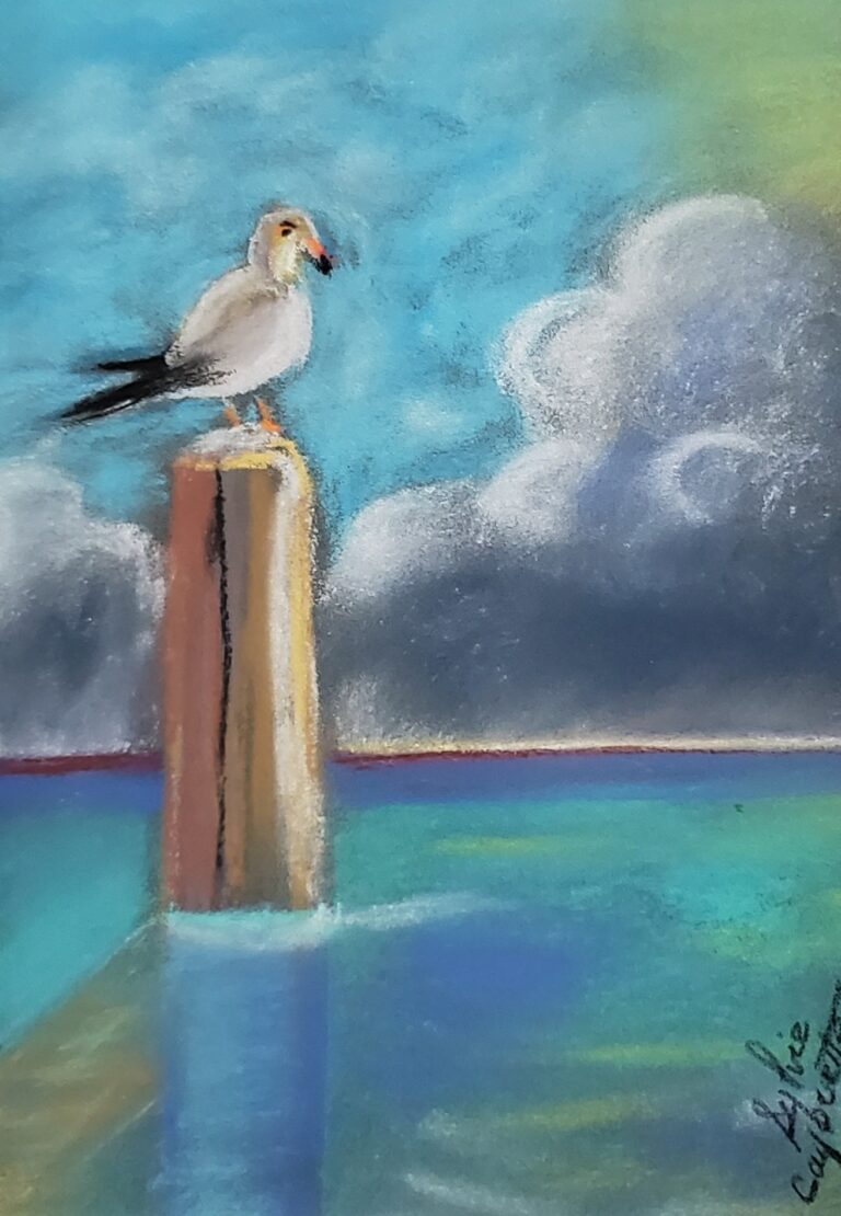 Mouette sur son perchoir - Seagull on his perch, Pastel sec sur carton Sennelier, 10 X 8 pouces, Prince Edward Island, Canada, 2024, Sylvie Cayouette
