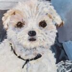 Sylvie Cayouette, Mon Pitou, Acrylique sur bois, 2025, La présence du vivant, chien Malshu