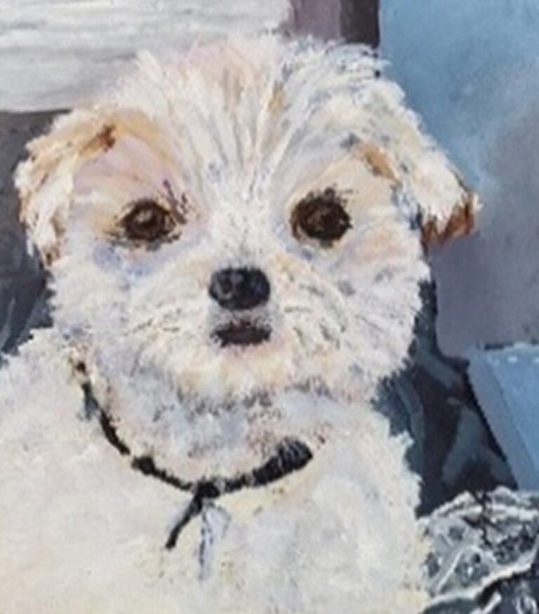 Sylvie Cayouette, Mon Pitou - My Little Dog, Acrylique sur bois, 2025, La présence du vivant, chien Malshu