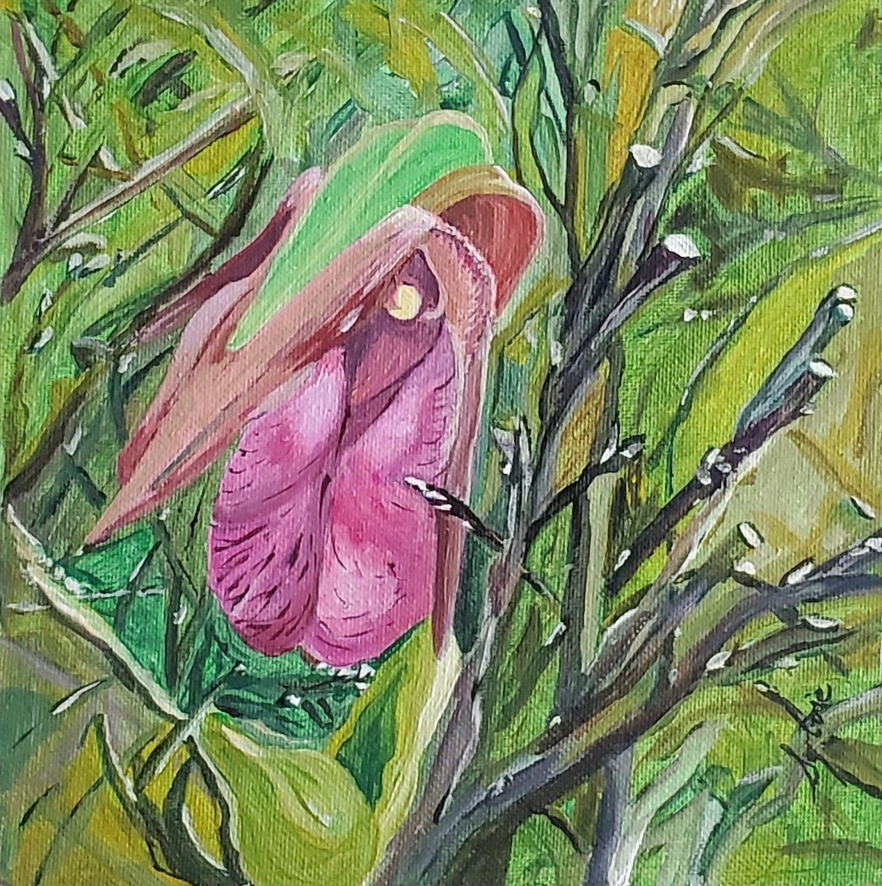 Sylvie Cayouette, Lady Slipper, Acrylique sur panneau entoilé, 2025, nature morte