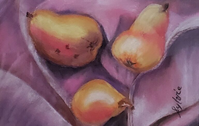 Sylvie Cayouette, Les poires - Pears,Pastel sec sur carton Sennelier, 2025, nature morte