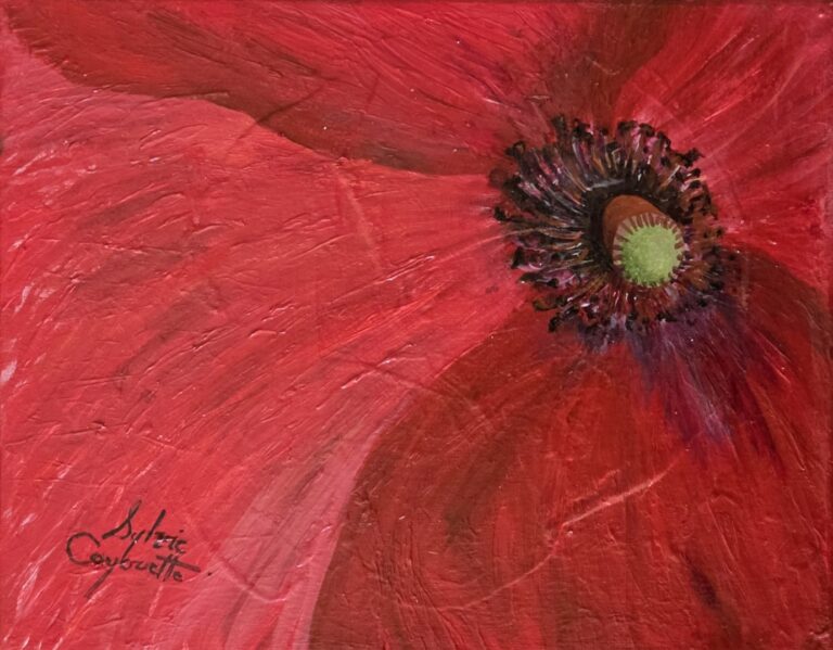 Sylvie Cayouette, Au coeur du coquelicot - At the Heart of the Poppy, Acrylique sur toile, 2026, nature morte