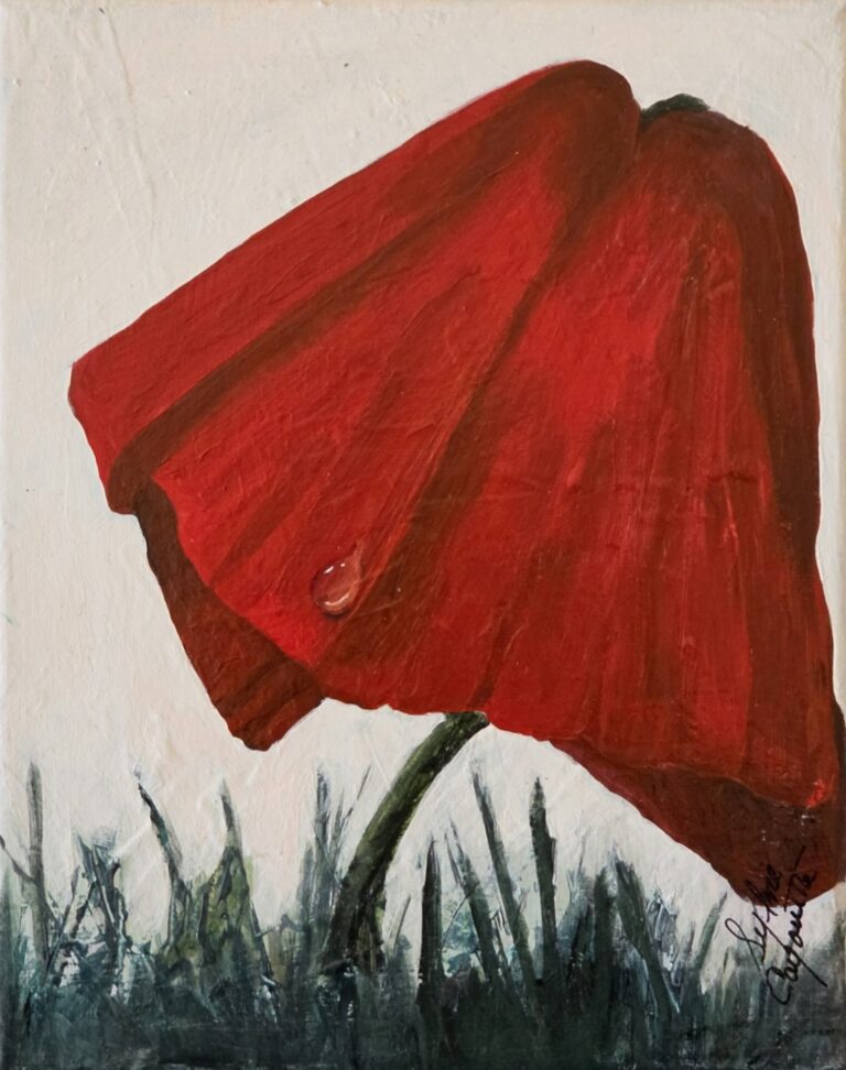 Sylvie Cayouette, Coquelicot après la pluie - Poppy after the Rain, Acrylique sur toile, 2026, nature morte