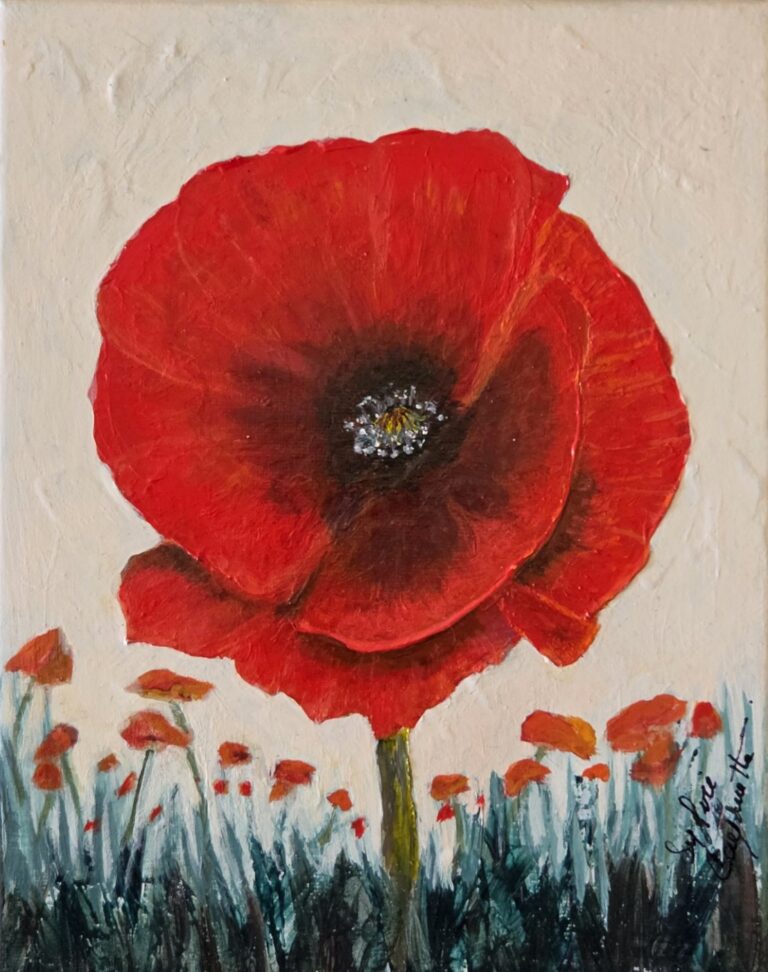 Sylvie Cayouette, Coquelicot en pleine floraison - Poppy in Full Bloom, Acrylique sur toile, 2026, nature morte